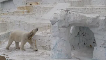 天王寺動物園に投稿された画像（2024/4/4）