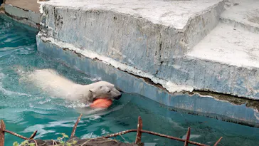 天王寺動物園に投稿された画像（2024/4/4）