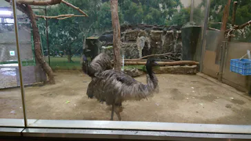 天王寺動物園に投稿された画像（2024/4/4）