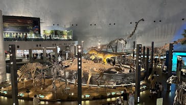 福井県立恐竜博物館に投稿された画像（2024/4/4）