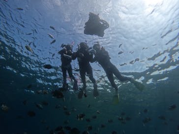 沖縄マリンサービス碧に投稿された画像（2024/4/4）