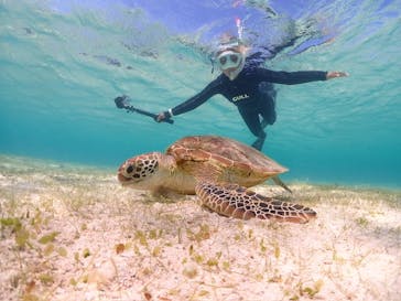 宮古島マリンショップSmileyに投稿された画像（2024/4/4）