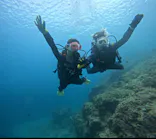 武藤潜水に投稿された画像（2024/4/4）