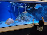 竹島水族館に投稿された画像（2024/4/4）
