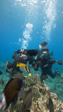 武藤潜水に投稿された画像（2024/4/4）