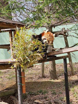 千葉市動物公園に投稿された画像（2024/4/4）