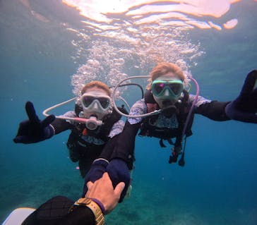 沖縄マリンサービス碧に投稿された画像（2024/4/4）