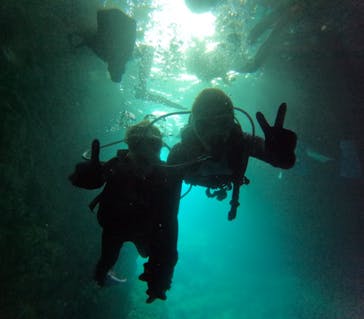 沖縄マリンサービス碧に投稿された画像（2024/4/4）