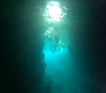 沖縄マリンサービス碧に投稿された画像（2024/4/4）