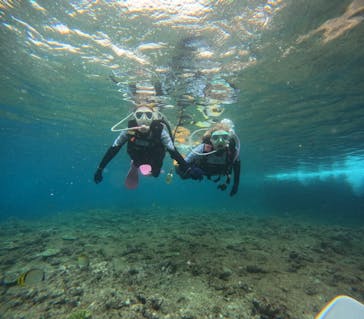 沖縄マリンサービス碧に投稿された画像（2024/4/4）