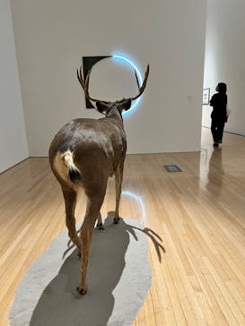 豊田市美術館に投稿された画像（2024/4/4）