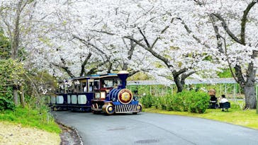 浜名湖花博2024に投稿された画像（2024/4/4）