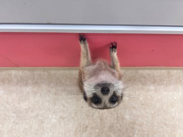 アニタッチ MARK IS 静岡に投稿された画像（2024/4/4）