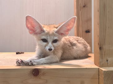 アニタッチ MARK IS 静岡に投稿された画像（2024/4/4）