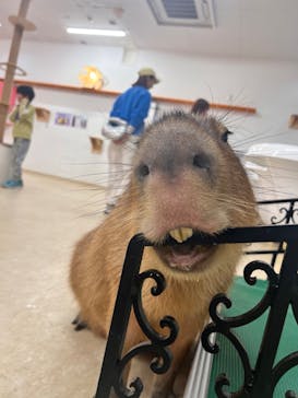 アニタッチ MARK IS 静岡に投稿された画像（2024/4/4）