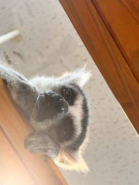 アニタッチ MARK IS 静岡に投稿された画像（2024/4/4）