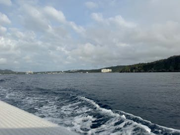 青の洞窟専門店　沖縄ダイビングショップ和に投稿された画像（2024/4/4）