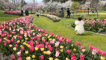 浜名湖花博2024に投稿された画像（2024/4/4）