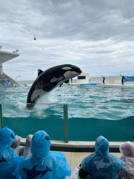 鴨川シーワールドに投稿された画像（2024/4/4）