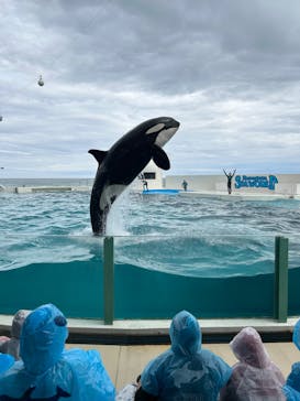 鴨川シーワールドに投稿された画像（2024/4/4）