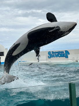 鴨川シーワールドに投稿された画像（2024/4/4）