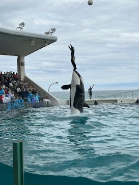 鴨川シーワールドに投稿された画像（2024/4/4）