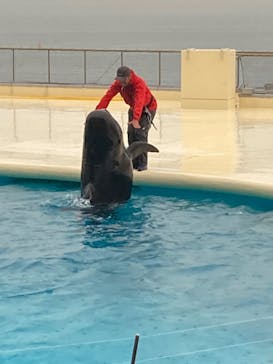 マリンワールド海の中道に投稿された画像（2024/4/4）
