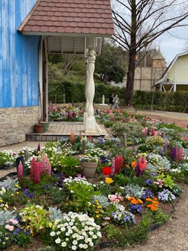 ムーミンバレーパークに投稿された画像（2024/4/4）