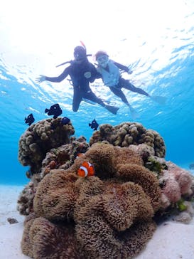 宮古島マリン GB QUESTに投稿された画像（2024/4/4）