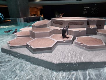 AOAO SAPPOROに投稿された画像（2024/4/4）