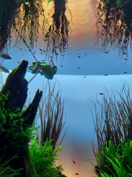 AOAO SAPPOROに投稿された画像（2024/4/4）