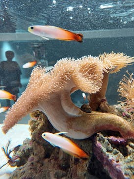 AOAO SAPPOROに投稿された画像（2024/4/4）