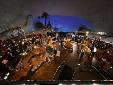 福井県立恐竜博物館に投稿された画像（2024/4/4）