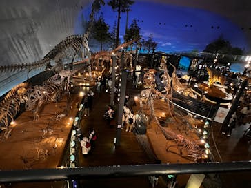 福井県立恐竜博物館に投稿された画像（2024/4/4）