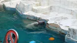天王寺動物園に投稿された画像（2024/4/4）