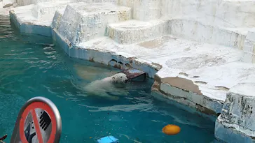 天王寺動物園に投稿された画像（2024/4/4）