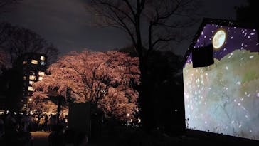 六義園に投稿された画像（2024/4/4）