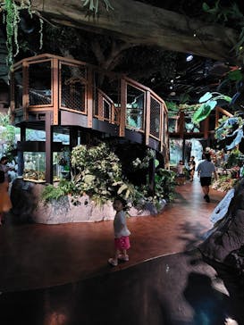 DMMかりゆし水族館に投稿された画像（2024/4/4）