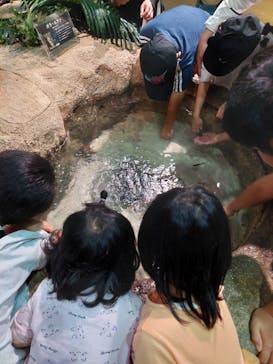 DMMかりゆし水族館に投稿された画像（2024/4/4）