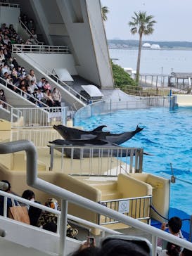 マリンワールド海の中道に投稿された画像（2024/4/4）
