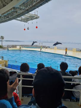 マリンワールド海の中道に投稿された画像（2024/4/4）