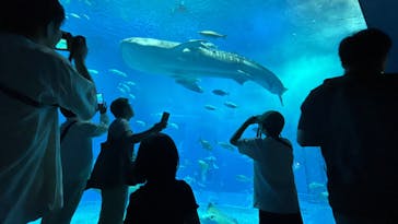 沖縄美ら海水族館に投稿された画像（2024/4/5）
