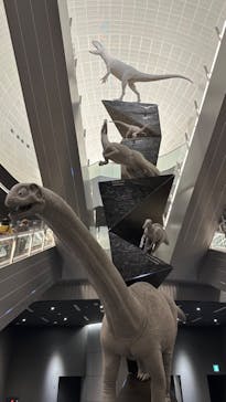 福井県立恐竜博物館に投稿された画像（2024/4/5）