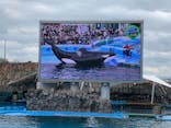 名古屋港水族館に投稿された画像（2024/4/5）
