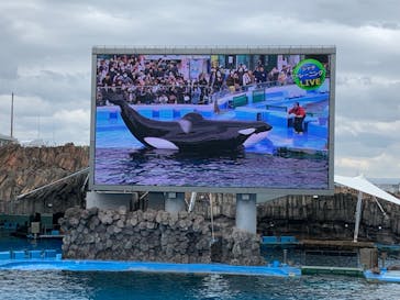 名古屋港水族館に投稿された画像（2024/4/5）