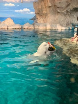 名古屋港水族館に投稿された画像（2024/4/5）