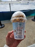 京都水族館に投稿された画像（2024/4/5）