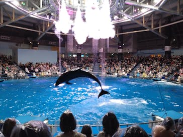 マクセル アクアパーク品川に投稿された画像（2024/4/5）