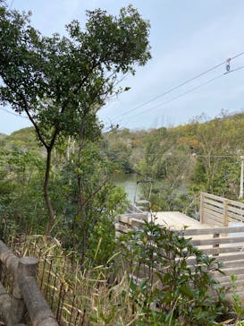 ニジゲンノモリに投稿された画像（2024/4/5）