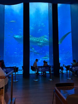 沖縄美ら海水族館に投稿された画像（2024/4/5）